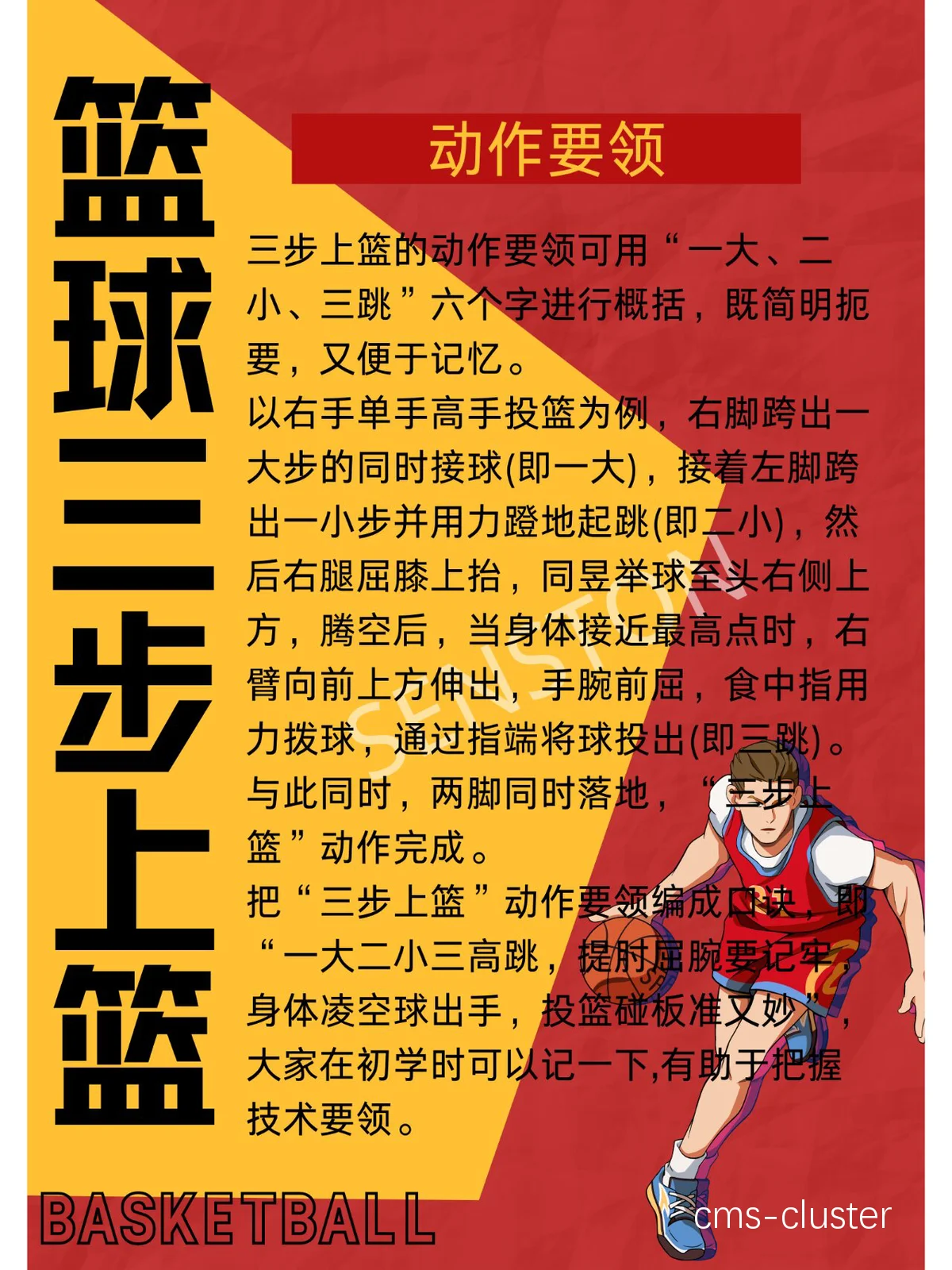 新手篮球爱好者如何开始体能训练